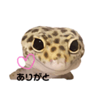 マルヴァンスタンプ（個別スタンプ：1）