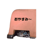 マルヴァンスタンプ（個別スタンプ：6）
