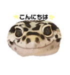 マルヴァンスタンプ（個別スタンプ：7）