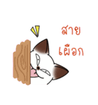 シャムキャッツタイ語版（個別スタンプ：13）