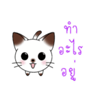 シャムキャッツタイ語版（個別スタンプ：34）