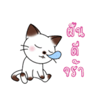 シャムキャッツタイ語版（個別スタンプ：40）