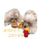 森の妖精ワンパラダイス（個別スタンプ：15）