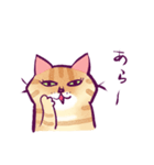 イケメン茶トラ猫スタンプ（個別スタンプ：12）