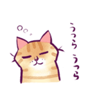 イケメン茶トラ猫スタンプ（個別スタンプ：19）