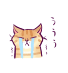 イケメン茶トラ猫スタンプ（個別スタンプ：38）