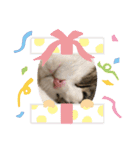 らぶらぶりー（個別スタンプ：20）