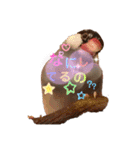桜文鳥と白文鳥のスタンプ（個別スタンプ：7）