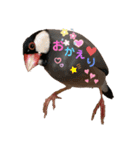 桜文鳥と白文鳥のスタンプ（個別スタンプ：12）