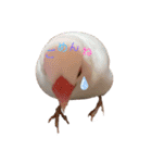 桜文鳥と白文鳥のスタンプ（個別スタンプ：18）