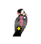 桜文鳥と白文鳥のスタンプ（個別スタンプ：21）
