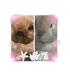 ♡rightと愛留♡happystamp（個別スタンプ：1）