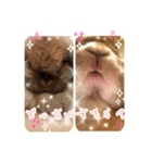 ♡rightと愛留♡happystamp（個別スタンプ：3）