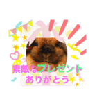 ♡rightと愛留♡happystamp（個別スタンプ：11）