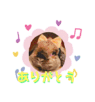 ♡rightと愛留♡happystamp（個別スタンプ：12）