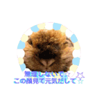 ♡rightと愛留♡happystamp（個別スタンプ：13）