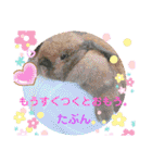 ♡rightと愛留♡happystamp（個別スタンプ：17）