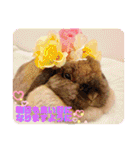 ♡rightと愛留♡happystamp（個別スタンプ：20）