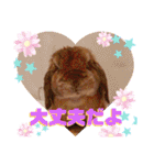 ♡rightと愛留♡happystamp（個別スタンプ：23）