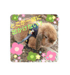 ♡rightと愛留♡happystamp（個別スタンプ：26）