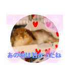 ♡rightと愛留♡happystamp（個別スタンプ：29）