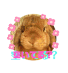 ♡rightと愛留♡happystamp（個別スタンプ：30）