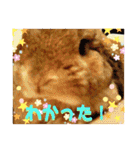 ♡rightと愛留♡happystamp（個別スタンプ：31）