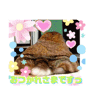 ♡rightと愛留♡happystamp（個別スタンプ：34）