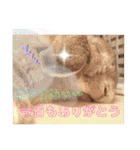 ♡rightと愛留♡happystamp（個別スタンプ：35）