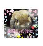 ♡rightと愛留♡happystamp（個別スタンプ：36）