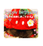 ♡rightと愛留♡happystamp（個別スタンプ：37）