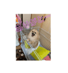 新しい家族が増えました！（個別スタンプ：5）