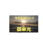 大阪湾釣り物1（個別スタンプ：16）