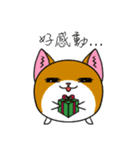 ドリーキャット！ メリークリスマス！（個別スタンプ：1）