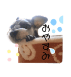 ♡シュナウザー♡（個別スタンプ：4）