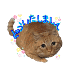 はやと＆きくまる＋クッキー（個別スタンプ：7）
