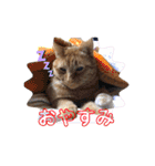 はやと＆きくまる＋クッキー（個別スタンプ：11）