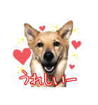 はやと＆きくまる＋クッキー（個別スタンプ：17）