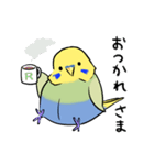 セキセイインコのりんちゃん（個別スタンプ：11）