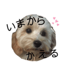 ミルつむ生活（個別スタンプ：2）