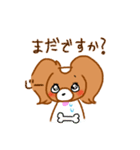 パピヨンのコスモDX（個別スタンプ：1）