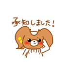 パピヨンのコスモDX（個別スタンプ：5）