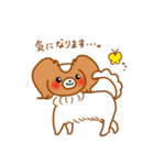 パピヨンのコスモDX（個別スタンプ：15）