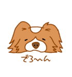 パピヨンのコスモDX（個別スタンプ：35）