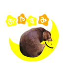 ✱チョコスタンプ（個別スタンプ：2）
