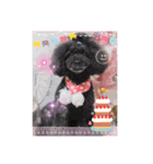 ୨୧Happy Birthdayスタンプ୨୧（個別スタンプ：2）