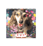 ୨୧Happy Birthdayスタンプ୨୧（個別スタンプ：4）