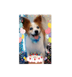 ୨୧Happy Birthdayスタンプ୨୧（個別スタンプ：5）