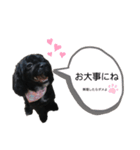 チョコ大集合（個別スタンプ：12）