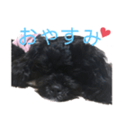 チョコ大集合（個別スタンプ：24）